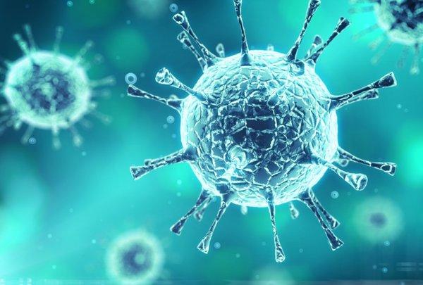 ایمونولوژی چیست؟